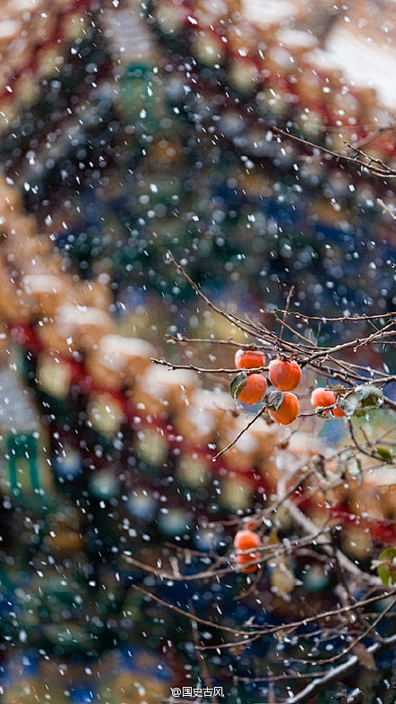 北京皇城，在落雪中沉默，让历史渐渐沉淀。...