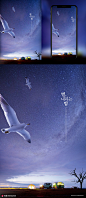 黑尾鸥 海鸥 旅游 露营 夜景 天空 星空 观景 PSD合成海报图片下载-优图网