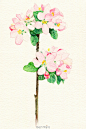 六月_JING的微博_微博 #治愈系# #水彩# #手绘# #插画# #小清新#