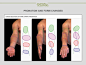 anatomy-for-sculptors-cross-section-of-arm-during-pronation-for-artists-by-anatomy-for-sculptors