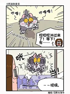 公司的猫咪聚会1（上）_2_阿满和麦茶_来自小红书网页版