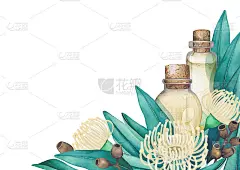 水彩精油瓶装饰桉树叶和花