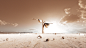 36 Days of Type 2023 - Persistence of Memory 2.0 on Behance