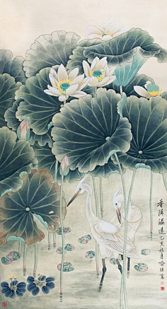 名画工笔荷花