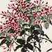 【  何水法 · 花鸟欣赏 …  】 ​ ​​​​ _F-中国画-水墨采下来_T2019519 #率叶插件，让花瓣网更好用_http://ly.jiuxihuan.net/?yqr=11102453#