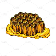 蜂蜜,绘画插图,六边形,动物手,矢量,健康保健,背景分离,食品,复古风格,甜食