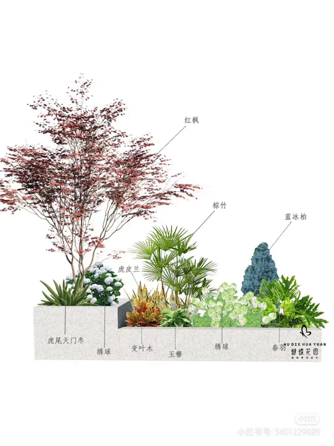 庭院植物配置-花瓣网