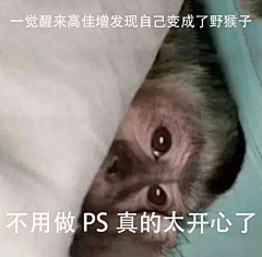 xiao妖焰采集到图片