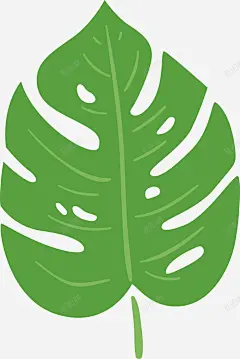绿色热带叶子 热带植物 环境 绘画 绿色 自然 元素 免抠png 设计图片 免费下载 页面网页 平面电商 创意素材