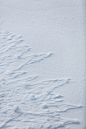 antarctica I : Images from my recent trip to Antarctica.