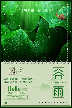 手绘二十四节气谷雨宣传海报