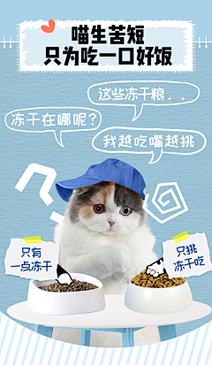 YY_果大大采集到参考  猫粮详情