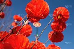 灯笼,红色,春节,传统,事件,纸灯笼,中国灯笼,新年前夕,环境,传统节日