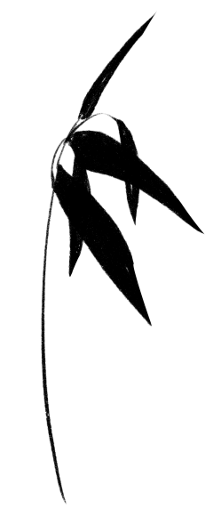 金克斯111采集到G仙