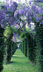 [] 法国。La Ballue城堡花园。美好的色彩。