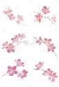 植物通用粉色樱花3D花朵元素素材