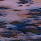e69b1c100050331