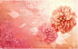 幻彩植物花卉背景 [第22张] | 1920×1200 | 设计、幻彩植物花卉背景 | 清风桌面 www.winddesktop.com