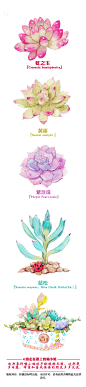 画师：#游走在路上的喵小姐# 郭小喵