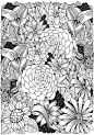 Coloring book page with different flowers and leaf