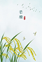 石家小鬼原创中国风二十四节气插画，商用请联系邮箱shijiaxiaogui@qq.com，未经允许严禁商用。古风海报 芒种