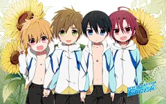 动漫《Free!男子游泳部》桌面壁纸