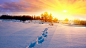 日落下的雪路脚印封面大图