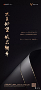 黑金之金地·未来域视觉大赏 : 尚美佳中国：用创意造就极致的黑……