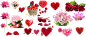 花png
