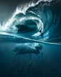 artwork Digital Art  Ocean Photography  photoshop underwater whales