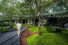 YSH—行采集到S—示范区景观