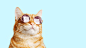 240_F_303624505_u0bFT1Rnoj8CMUSs8wMCwoKlnWlh5Jiq