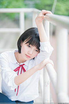 杜梨树下的约定666采集到花花世界