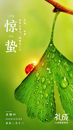 chen鲫鱼采集到LC