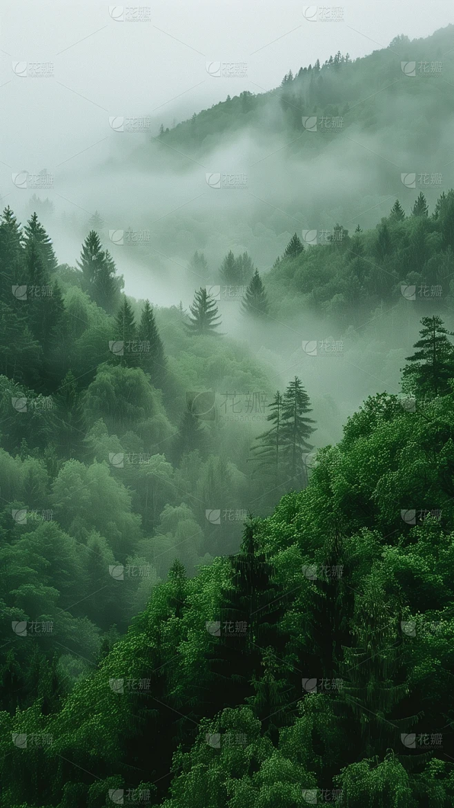 风光通用实景山脉云雾背景图片素材素材-花瓣网