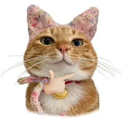 一组得意小猫表情包_2_一颗猫头椰_来自小红书网页版