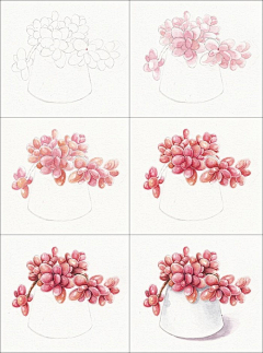 酒糯采集到水彩画、水彩教程