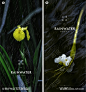 谷雨雨水清明节海报_源文件下载_PSD格式_2076X2216像素-花卉,海报,清明节,雨水,谷雨-作品编号:2023030117222249-志设-zs9.com