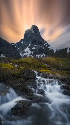 ＠大圣中的战斗菊#唯美#壁纸#手机壁纸#电脑壁纸#风景