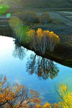 幸福_从这个季节开始采集到风景