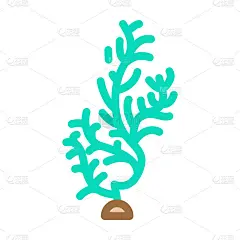 紫菜藻颜色图标矢量插图