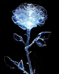 Shared by Mac. Find images and videos about beautiful, rose and transparent on We Heart It - the app to get lost in what you love.