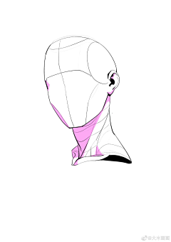 Nam/采集到body structure