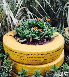 FM木木采集到花园空间——趣景造园