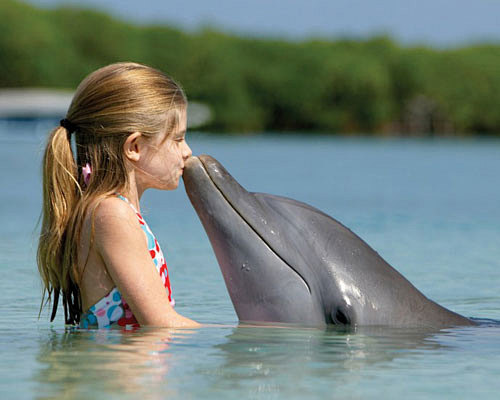 小女孩和海豚唯美意境