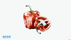 菜椒红辣椒 水果蔬菜美食手绘插画JPG高清图片设计素材