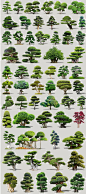 2D观赏造型树su模型植物园林景观小叶榕罗汉松桩头植物su模型素材