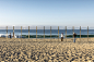 A Quarter Mile of Reflective Poles Mirror the Changing Tides : A quarter mile installation of nearly 250 mirrored posts stood tall on California's Laguna Beach coast, the work reflecting back the Pacific Ocean's subtle changes for four days last November.