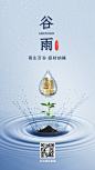 金融保险谷雨节气招财纳福水滴实景海报