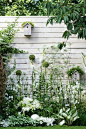 ideas for white & green garden